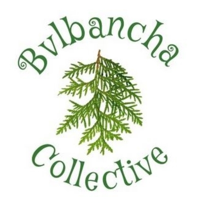 A stemmed fern hangs down below the word "Bvlbancha" 