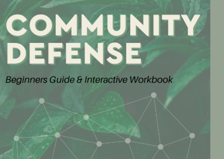 The background of this image is of green leafy plant and below it is an interconnected web. THe words above read, "Community Defense Beginners Guide & Interactive Workbook"