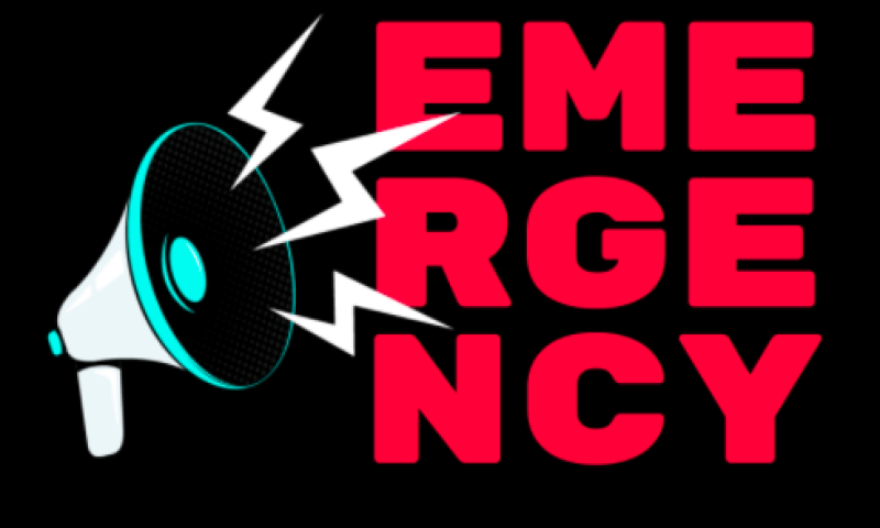 Sound waves bounce off a blue and white megaphone towards the words, "This is an emergency. The world is on fire and so are we"