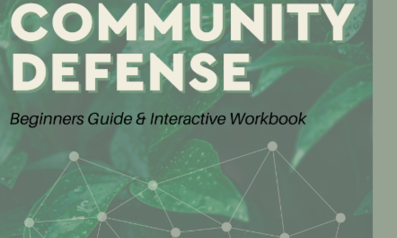The background of this image is of green leafy plant and below it is an interconnected web. THe words above read, "Community Defense Beginners Guide & Interactive Workbook"